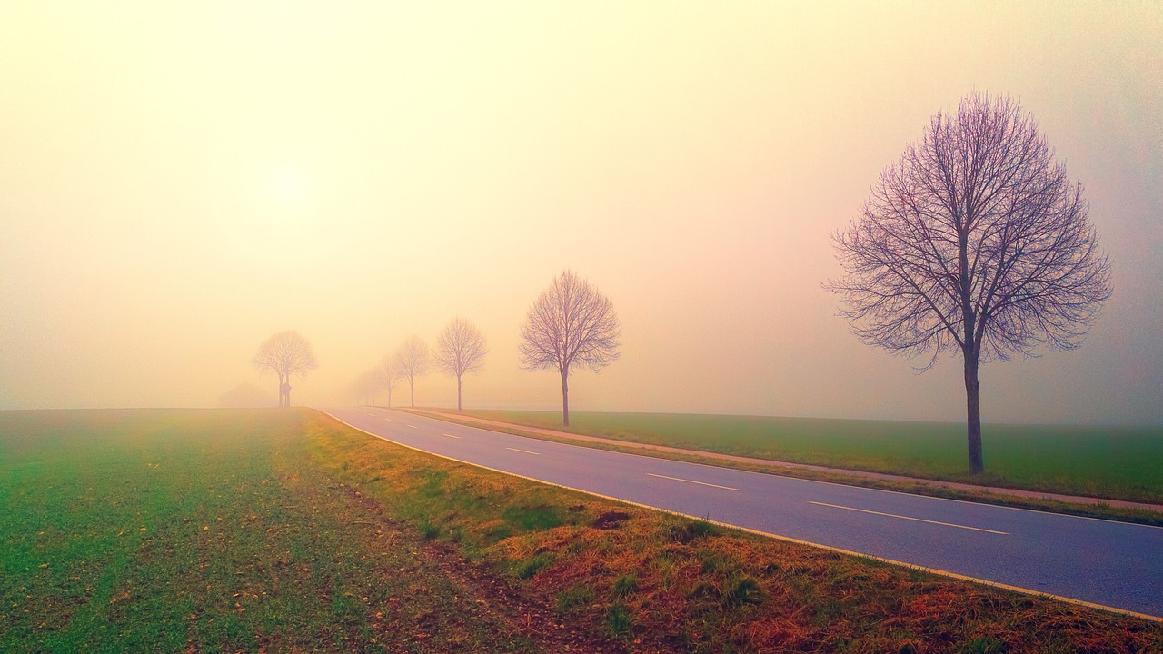 Ostrzeżenie meteorologiczne – mgła
